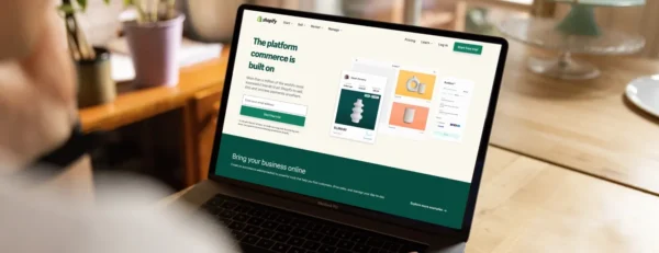 Shopify store development and management(Basic Plan)